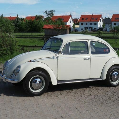 VW K&auml;fer 1300